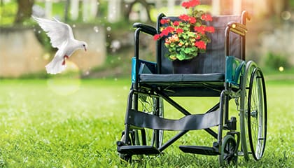 عکس-ص-اصلی (3)